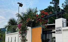Homestay Halona
